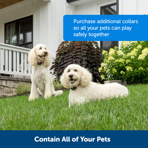 PetSafe® Wireless Fence Pet Containment System & Reviews Wayfair